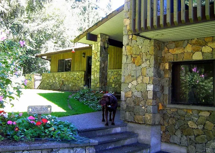 Misty Meadows B&B